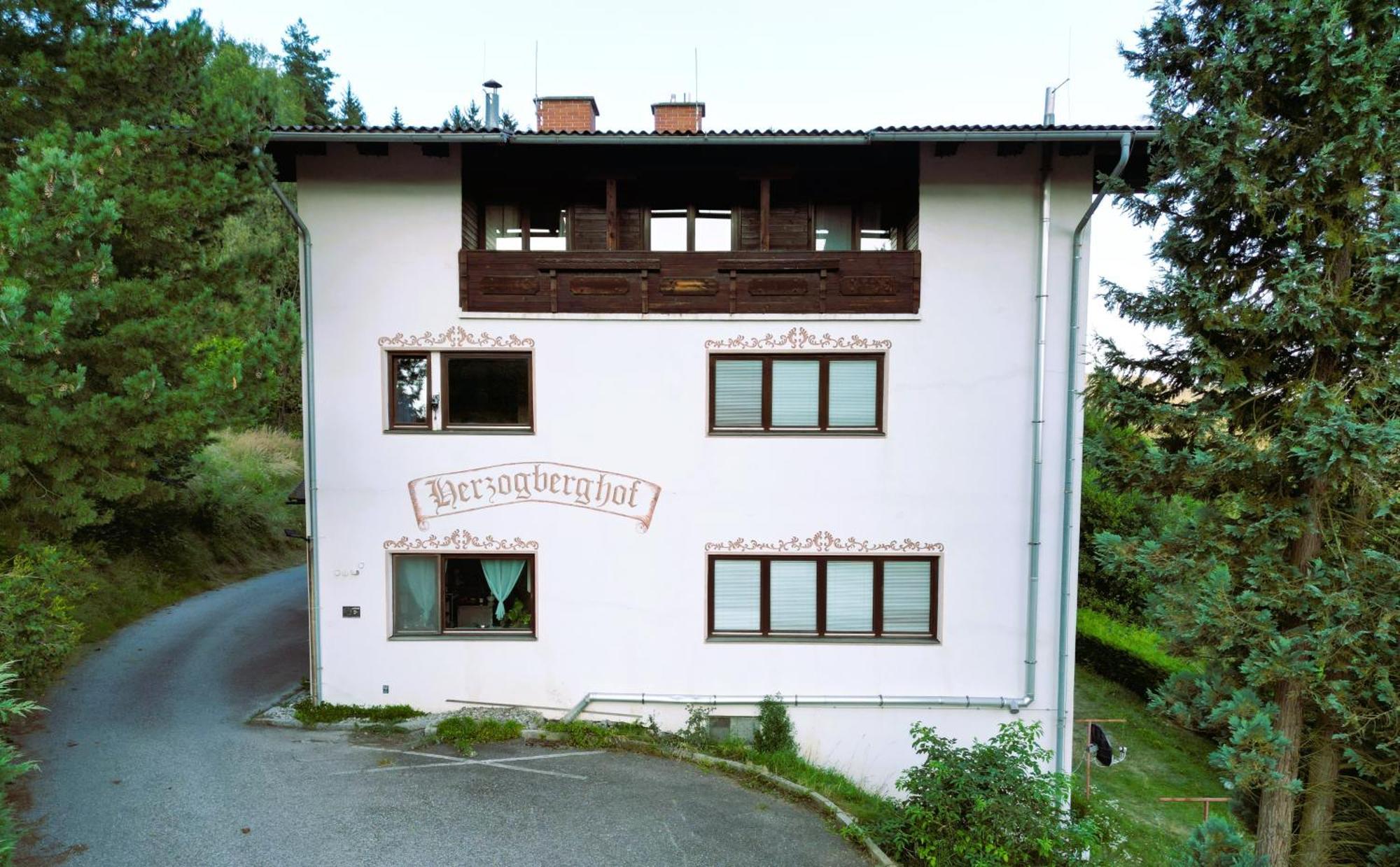 Herzogberghof Kindberg Extérieur photo